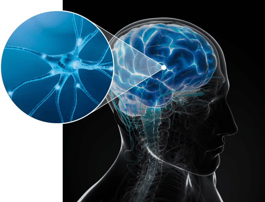 CollaGenius Brain Focus